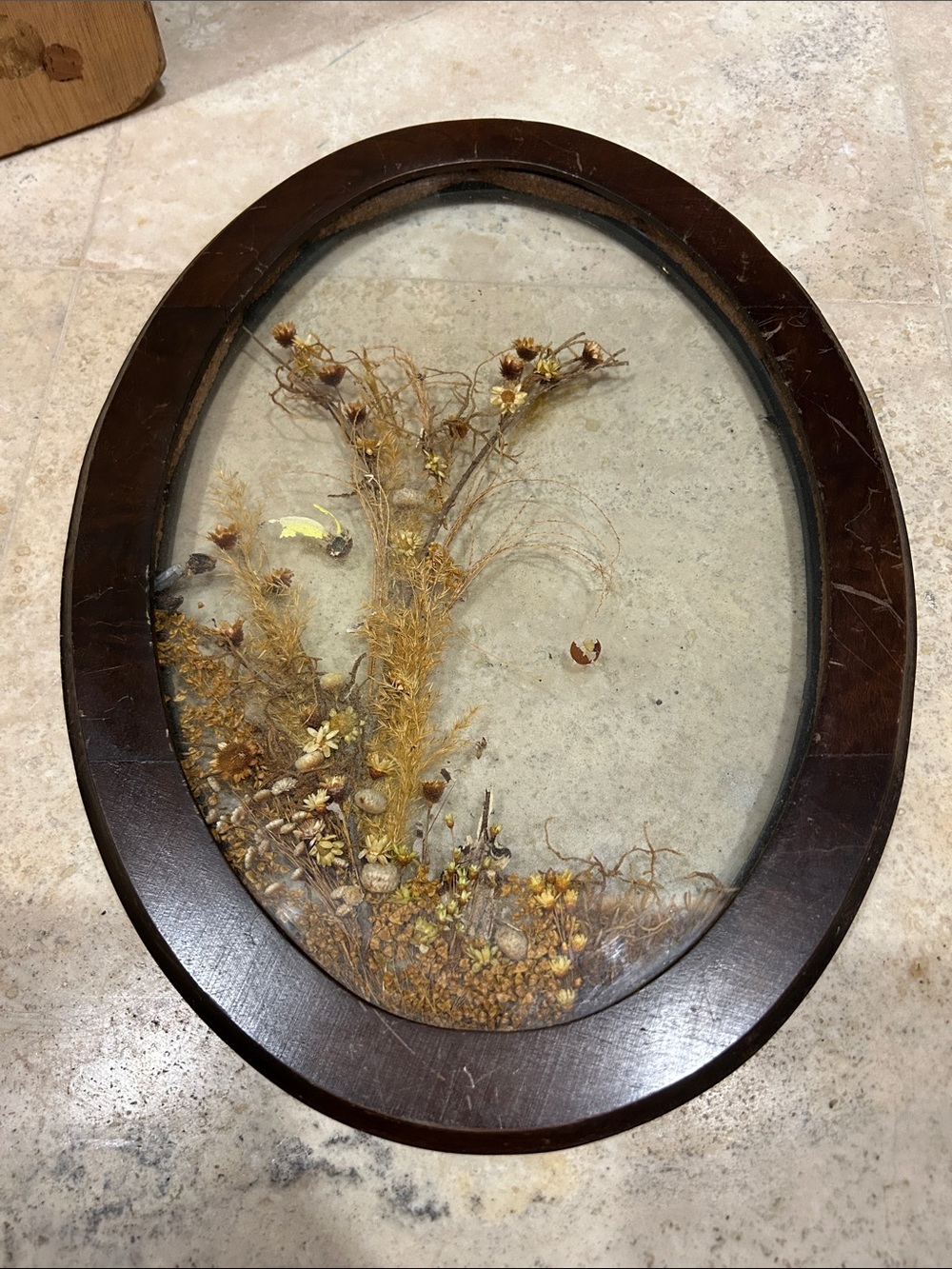 Vintage Oval Framed Dried Floral Art under Glass in Dark Wood